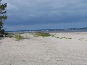 Příroda nedaleko vily