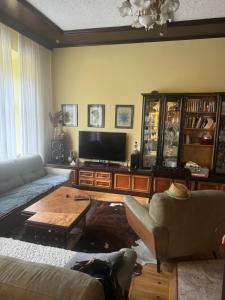 a living room with a couch and a flat screen tv at Apartma Mladinska in Maribor