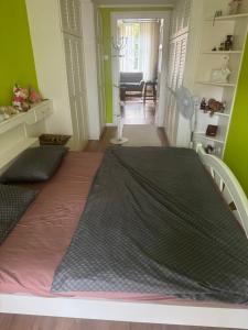 a bedroom with a large bed in a room at Apartma Mladinska in Maribor
