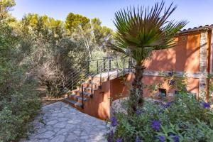 una scala che conduce a una casa con una palma di Villa Hippocampe a Sanary-sur-Mer