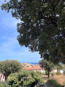 Fotografia z galérie ubytovania Appartement rez de villa v destinácii LʼÎle-Rousse