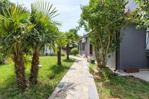 a garden with palm trees and a walkway at Villa Pula in Valtura