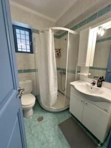 a bathroom with a shower and a toilet and a sink at Villa Lida Spetses - Private Pool in Spetses +25 photos