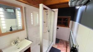 ein Badezimmer mit Dusche und Waschbecken in der Unterkunft Chata pod Rejvízem in Jeseník