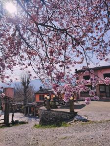 a tree with pink flowers in front of a building at Nuovo Agriturismo Villa Enrichetta in Bettola
