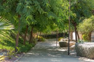a path in a park with trees and plants at Vila Paradis 18 in Villajoyosa
