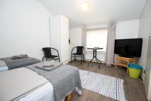 TV a/nebo společenská místnost v ubytování Arctic Guesthouse & Igloos