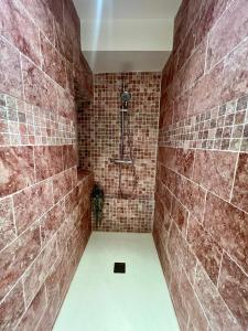 a bathroom with a shower with brown tiled walls at Maison de village in Fontvieille