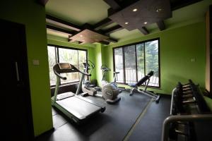 Fitness centrum a/nebo fitness zařízení v ubytování The Monarch Hotel