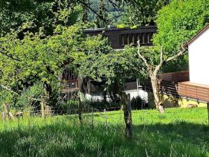 a view of a house from the yard at Ferienwohnung Heckenäcker in Ortenberg