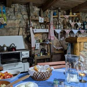 Afbeelding uit fotogalerij van Household Šain in Pluzine