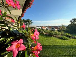 un cespuglio con fiori rosa in un cortile di Ferienzimmer Trummer a Fürstenfeld