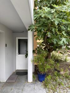 Zahrada ubytování chambre privative au rez de jardin dans villa + 8 fotografií