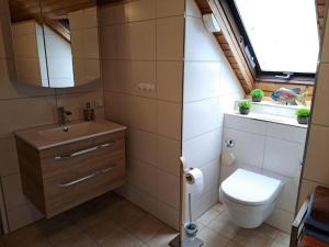 a bathroom with a toilet and a sink and a window at Ferienwohnung Heckenäcker in Ortenberg +25 photos