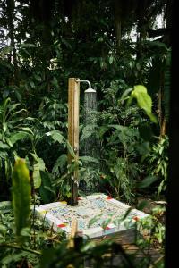 a bird bath in the middle of a forest at Pousada Santa Clara in Ilha de Boipeba