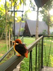 Giardino di Rustic Cottages Udawalawe