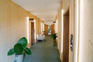 博德森特克Sobe rooms JELEN JELENOV GREBEN的建筑物内有植物和椅子的走廊