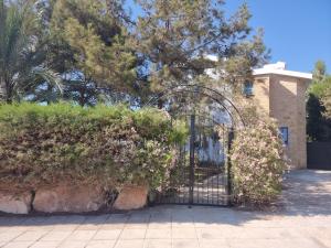 Gallery image of Olive Beach Villa in Peyia