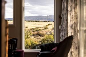 une vue d'un champ depuis une fenêtre dans l'établissement Luxury river cottage, gateway to the East Coast, à Avoca Tasmania 22 autres photos