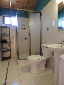 a bathroom with a toilet and a shower and a sink at La Maravilla Lodge in Vilches
