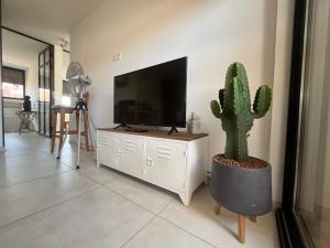 a living room with a flat screen tv and a cactus at L'appartement du bonheur - Au Cœur des Volcans d'Auvergne sur la Route du Sud in Issoire