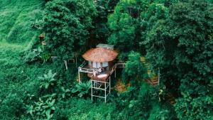 an overhead view of a tree house with a grass roof at สะปัน Riva camp in Ban Huai Ti