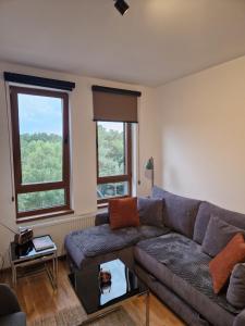 Area soggiorno di Divcinova - Apartman Gorski