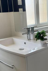 a bathroom sink with a mirror and a potted plant at la maison Massonat in Cossaye +20 photos