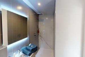 ein Badezimmer mit Dusche und Waschbecken in der Unterkunft Appart 3 pers piscine parking coeur de ville in Grenoble + 13 Fotos