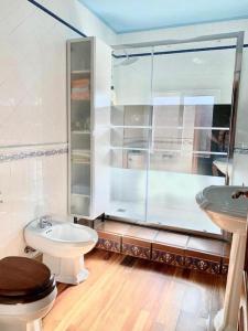 un bagno con doccia, WC e lavandino di Casa das Roma a Cambados