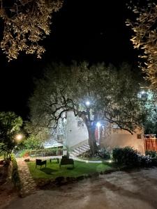Photo de la galerie de l'établissement La Casa del Maestro Attico, à Pisciotta
