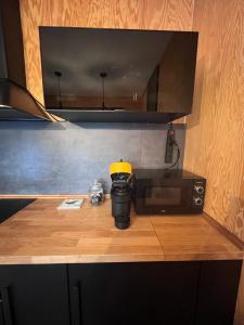 Eldhús eða eldhúskrókur á Holiday Home Hlinsko