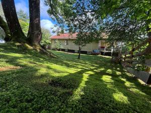 ein Haus mit einem Baum im Hof in der Unterkunft Emma's country cottage in southern Sweden in Älghult