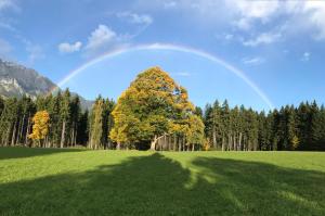 Paesaggio naturale nelle vicinanze del bed & breakfast
