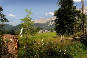 Paesaggio naturale nelle vicinanze del bed & breakfast