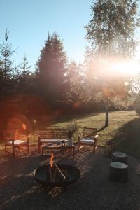 a group of benches and a fire pit in a park at Zaļais Zelts in Katvari