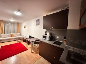 Køkken eller tekøkken på Mountain Paradise 2, One bedroom apartment