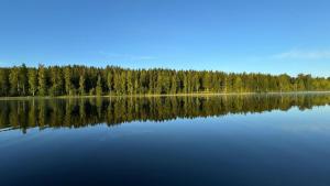 a view of a lake with trees in the background at Tarula Holiday Home in Melkoniemi