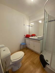 un bagno con wc, doccia e lavandino di Sandrine a Cadours