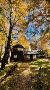 a house in the middle of a yard with a tree at Daben Recinto Ñuble camino Termas de Chillan in Recinto