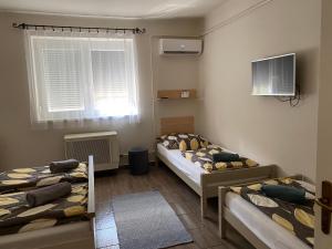 Zimmer mit 2 Betten und einem TV. in der Unterkunft Sára Vendégház in Hajdúböszörmény
