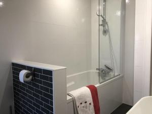 a bathroom with a shower and a toilet and a sink at La biche in Bonnes