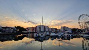a group of boats in a marina with a ferris wheel at Charmant studio cabine in Cap d'Agde