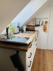 a kitchen with a counter with a laptop on it at Apartmán U Hvězdáře in Křišťanovice +12 photos