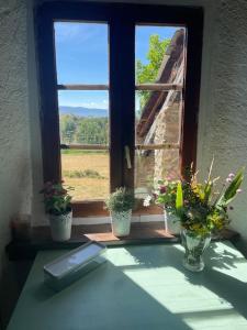 Fotografie z fotogalerie ubytování Mas Bena v destinaci Enveitg