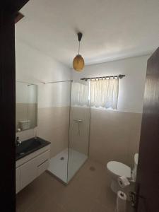 een badkamer met een douche, een toilet en een wastafel bij Casa Encanto do Douro in Várzea do Douro