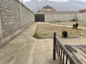 a dog is standing next to a brick wall at Maison confortable in Khujand