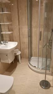a bathroom with a shower and a sink and a toilet at Precioso Apartamento in Peñíscola