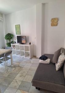 Una sala de estar con un sofá y un televisor. en apartamentos Centro PICASSO, en Málaga
