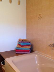 Ένα μπάνιο στο Grand appartement dans chalet en bordure de forêt - Lac de Matemale +28 φωτογραφίες